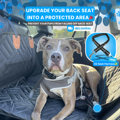 Safe Milo™️ - Hard Bottom Seat Cover Pro