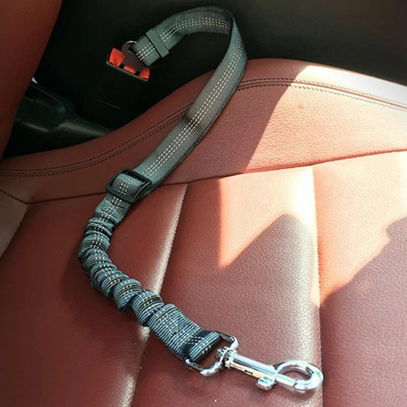 Adjustable Seat Belt Harness