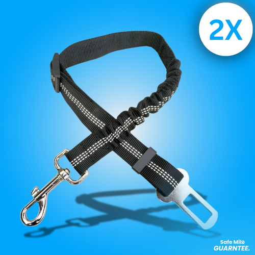 Adjustable Seat Belt Harness