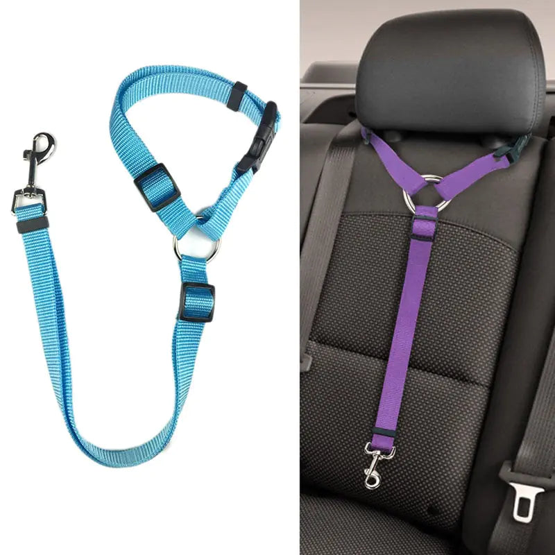 Travel Dog Seatbelts