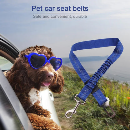 Adjustable Seat Belt Harness